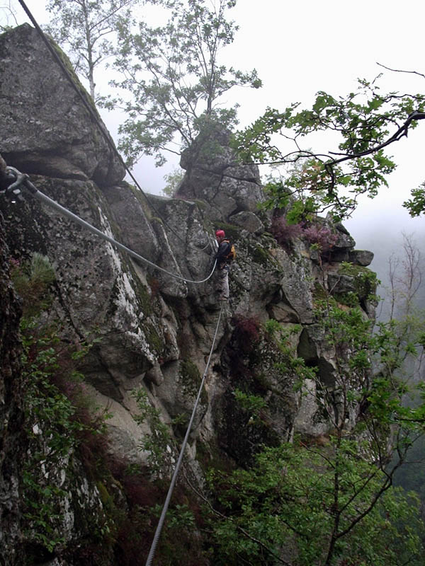 Dernier pont de singe